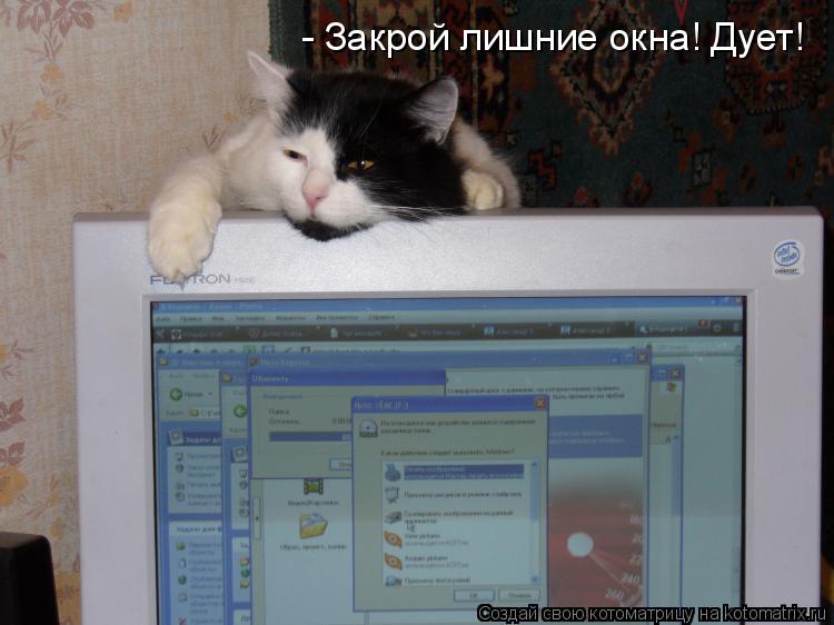 Котоматрица: - Закрой лишние окна! Дует!