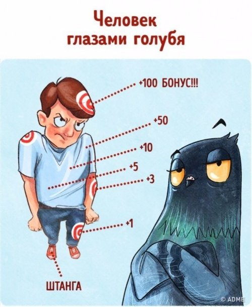 Человек глазами животных (9 фото)