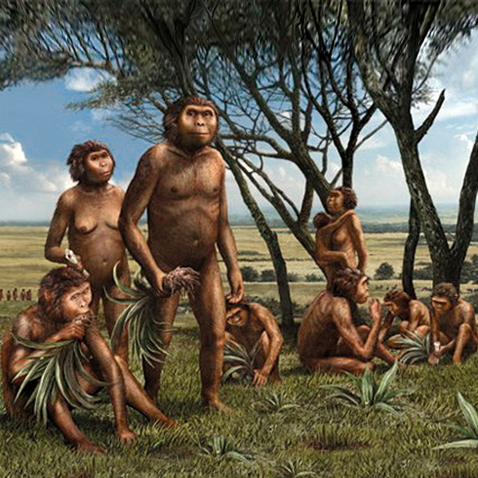 Предки людей жили на земле. Первобытные люди. Первый человек на земле. Доисторические обезьяны. Самый первый человек на земле.