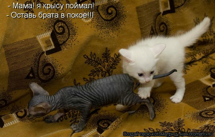 Улыбнись! Улыбнись! демотиваторы