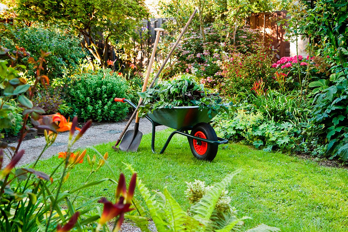 Календарь садовода и огородника: расписание весенних работ
