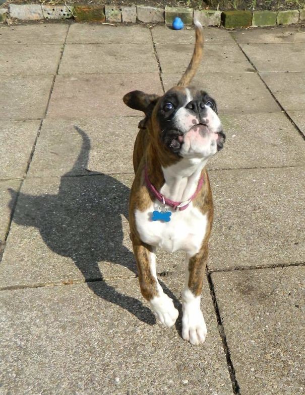 45 невероятных теней, которые заставят вас взглянуть на них дважды