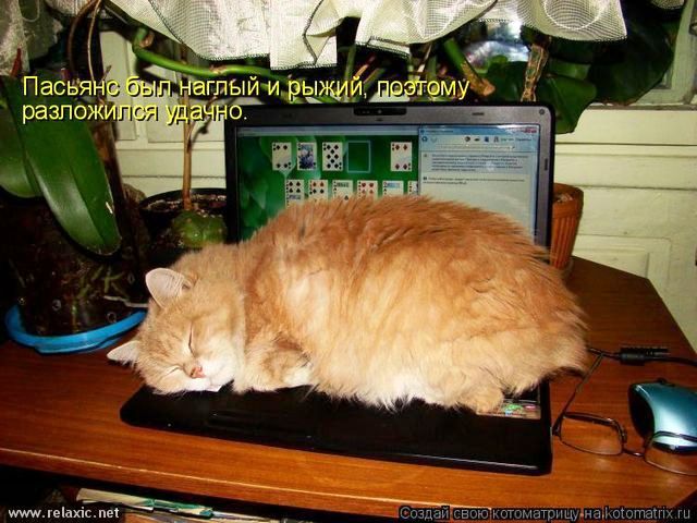 Улыбнись! Улыбнись! демотиваторы