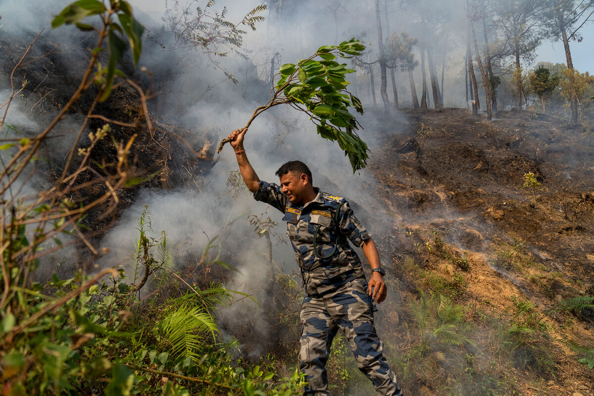 В Бурятии площадь лесных пожаров увеличилась до 14 тыс. га
