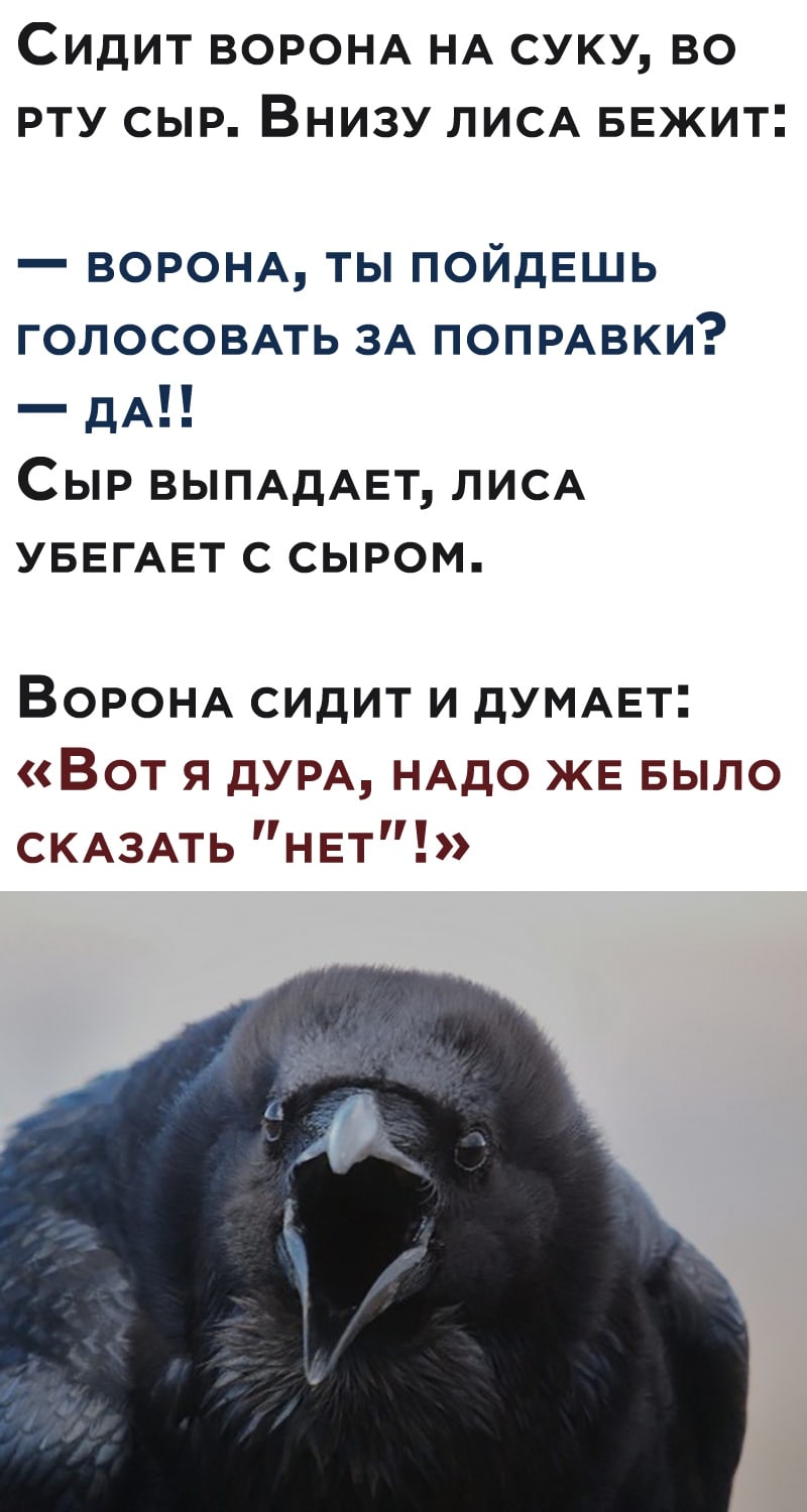 Либерда не хочет делать работу над ошибками Либерда не хочет делать работу над ошибками Политика