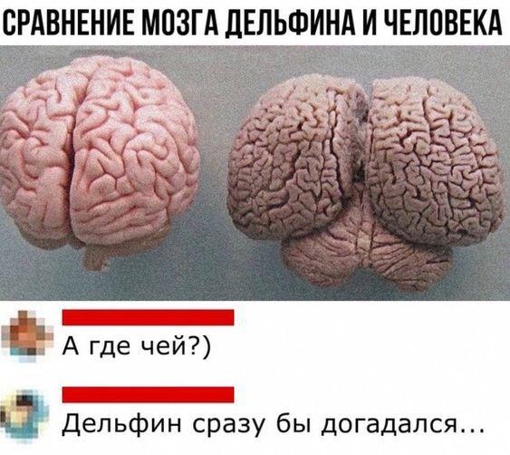 Свежие хорошие клевые картинки 