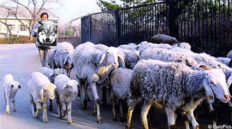 Давайте улыбаться вместе! :) (39улыбок)