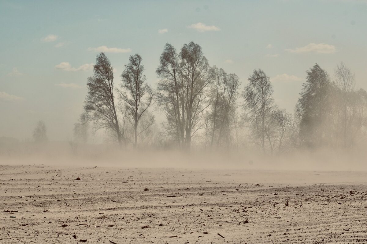 Африканский пыльный шлейф в пятницу достигнет Поволжья и Урала