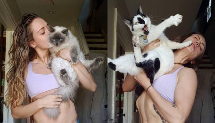 Подборка картинок. Вечерний выпуск (51 фото)