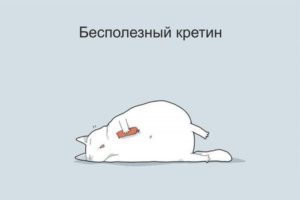 Классификация котов в угарных картинках