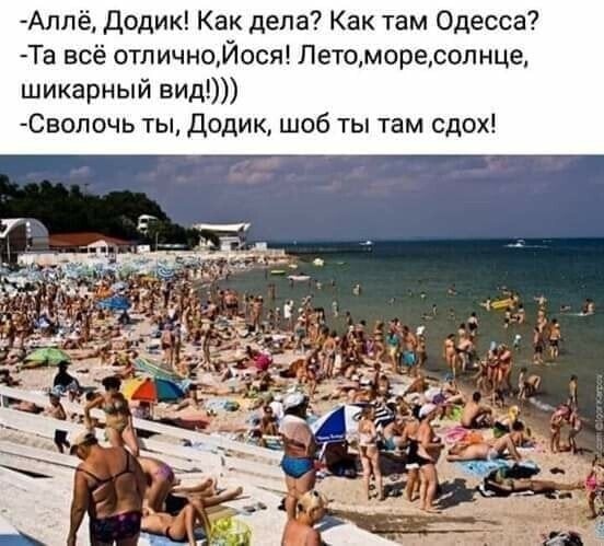 Лучших оправданий, чем обвинения, пока еще не придумали Лучших оправданий, чем обвинения, пока еще не придумали