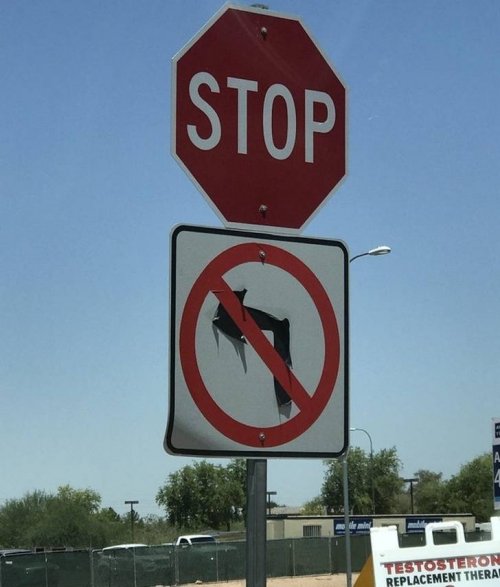 20 жарких летних фотографий, чтобы согреться в этот холодный зимний вечер 