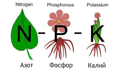 Удобрения