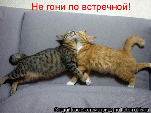 Мысли вслух :)