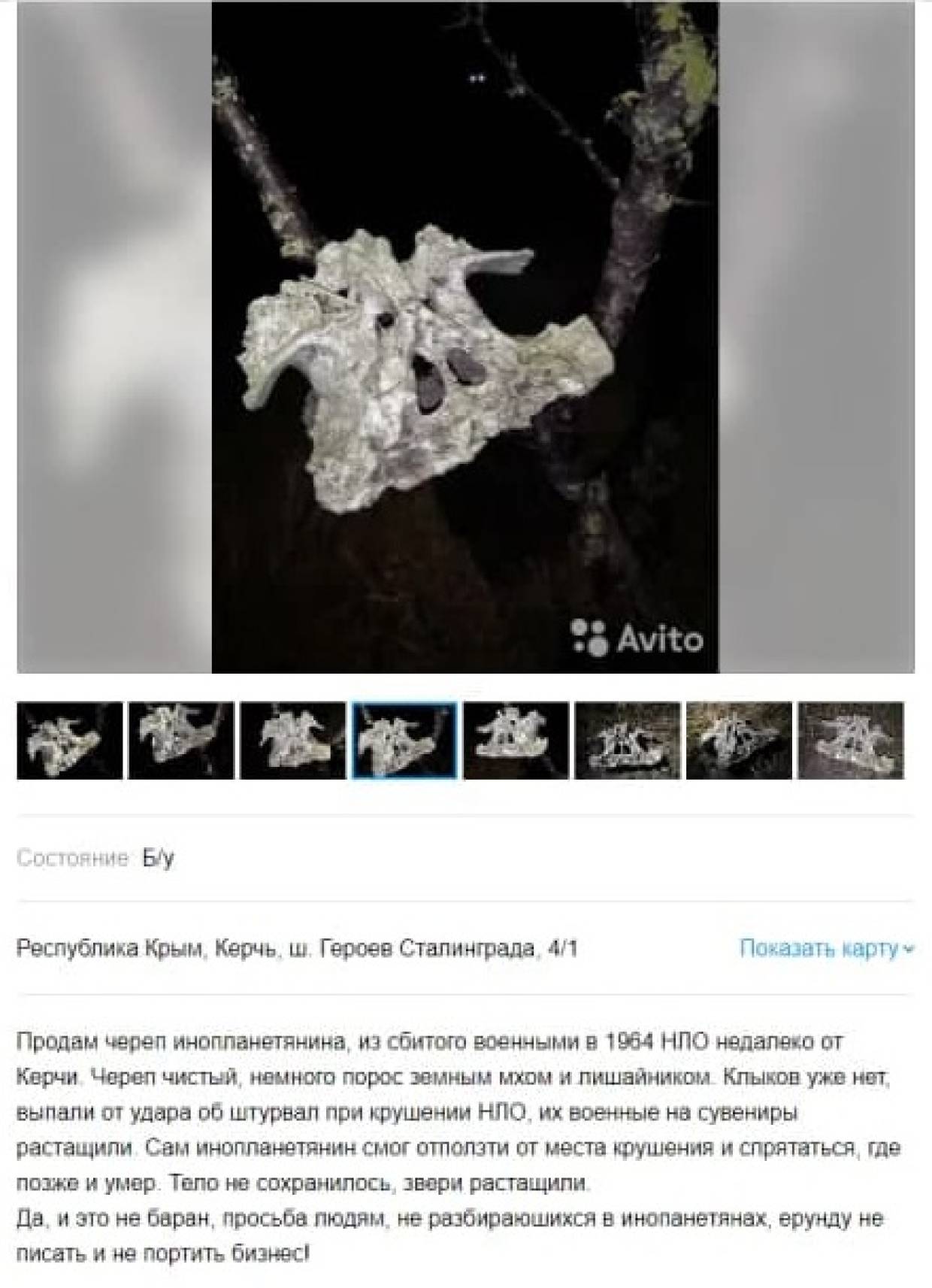 Крымчанин пытается в Сети продать найденный «череп инопланетянина» за символическую сумму