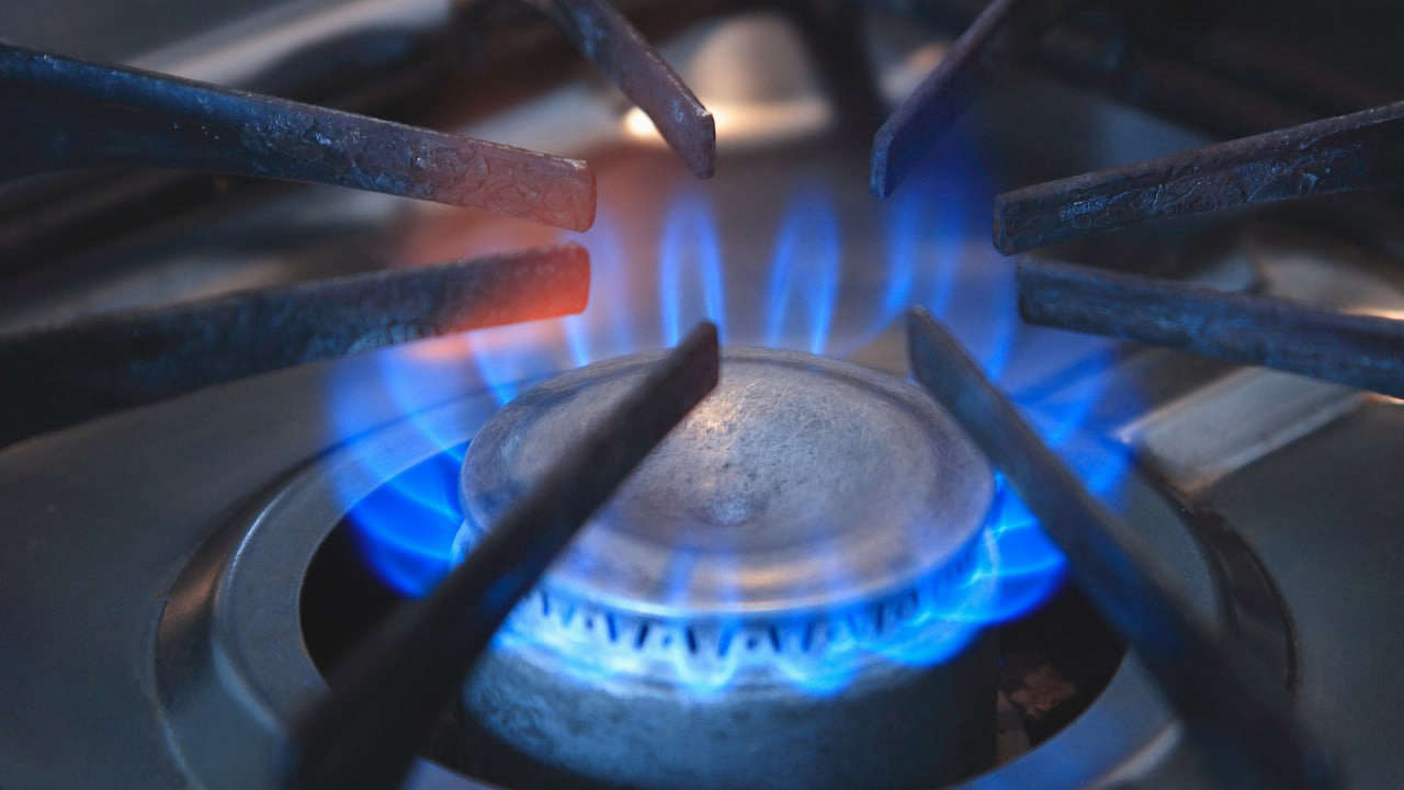 Незаменимость российских ресурсов подвела Германию к черте газовой экономии