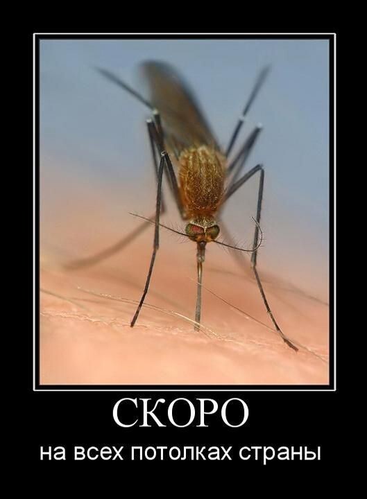 Свежая подборка демотиваторов для вашего отличного настроения!