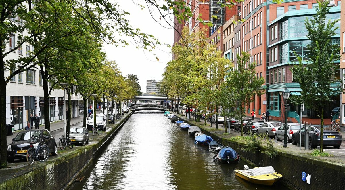 В Гааге полно каналов и мостов.  фото: картинки  яндекса.