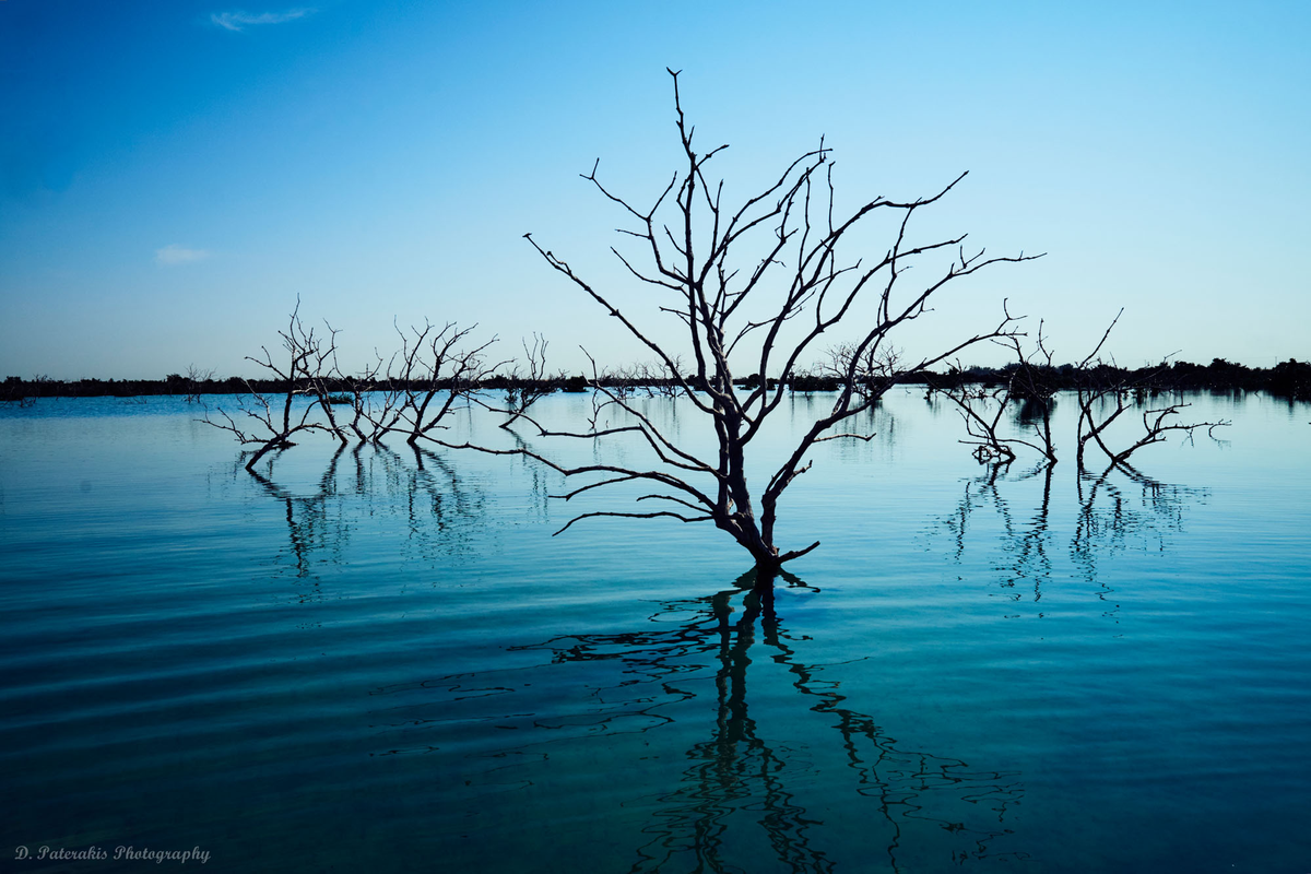 Dimitris Paterakis - Fujifilm X-T10