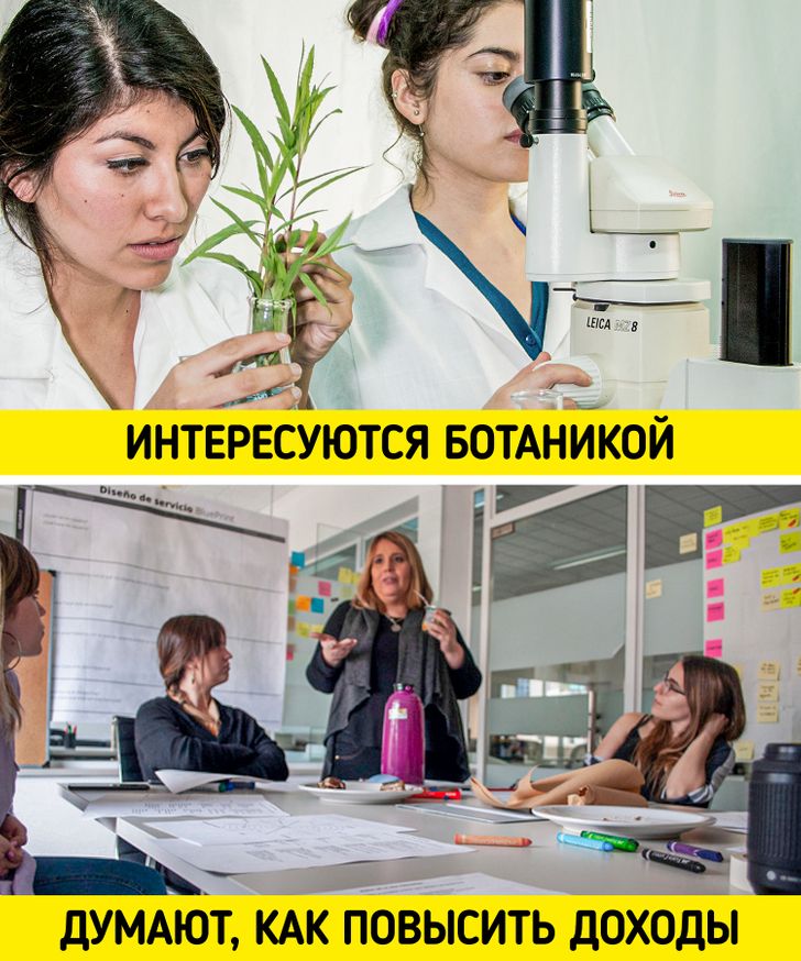 Особенности высшего образования в разных странах, которые удивят русского студента Особенности высшего образования в разных странах, которые удивят русского студента студентов, не только, образования, Студенты, не будет, и основных, Оценки, студента, Система, Никто, в престижном, программы, учащиеся, университетах, К слову, длится, позиции, занимают, которые, студенты
