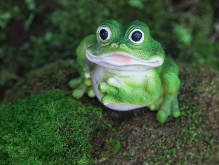 Контрацепция в летнем лагере: мораль хорошо, а защита лучше