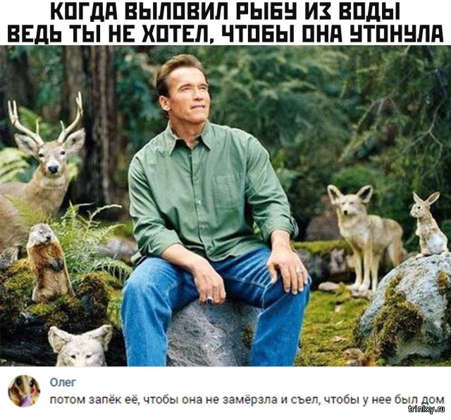 Подборка прикольных картинок  смешные картинки