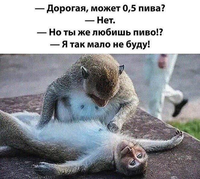 Алкоприколы