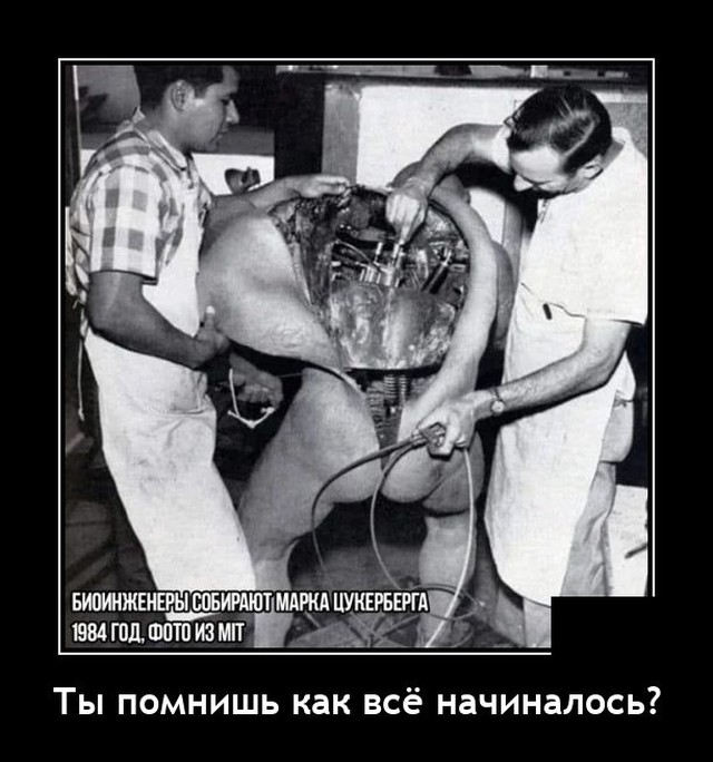 Новые демотиваторы Новые демотиваторы демотиваторы