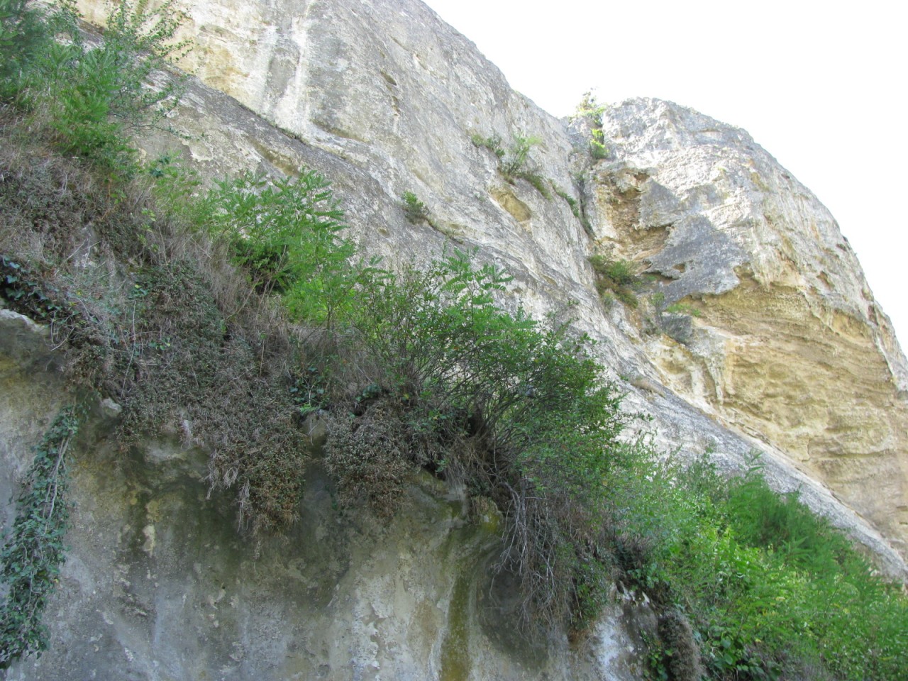 Курское пещера Крым