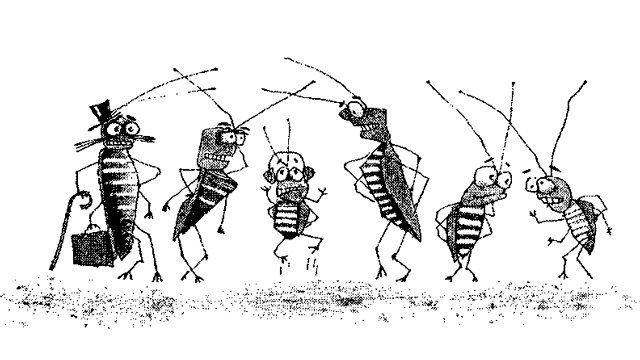 Какая польза от тараканов...