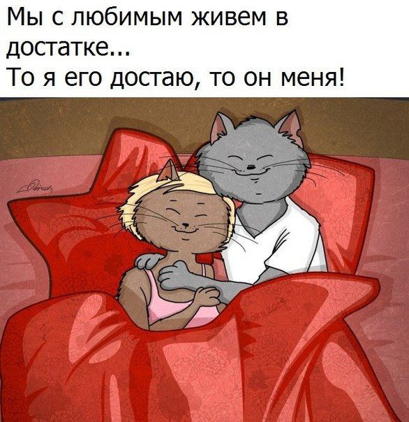 Смешные картинки ему с любовью