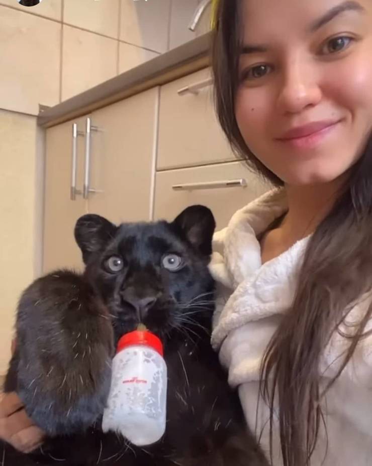 Подборка прикольных картинок  приколы,смешные картинки,юмор