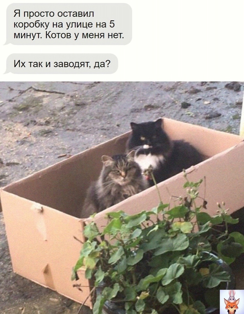 Юмор из интернета 748 позитив,смех,улыбки,юмор