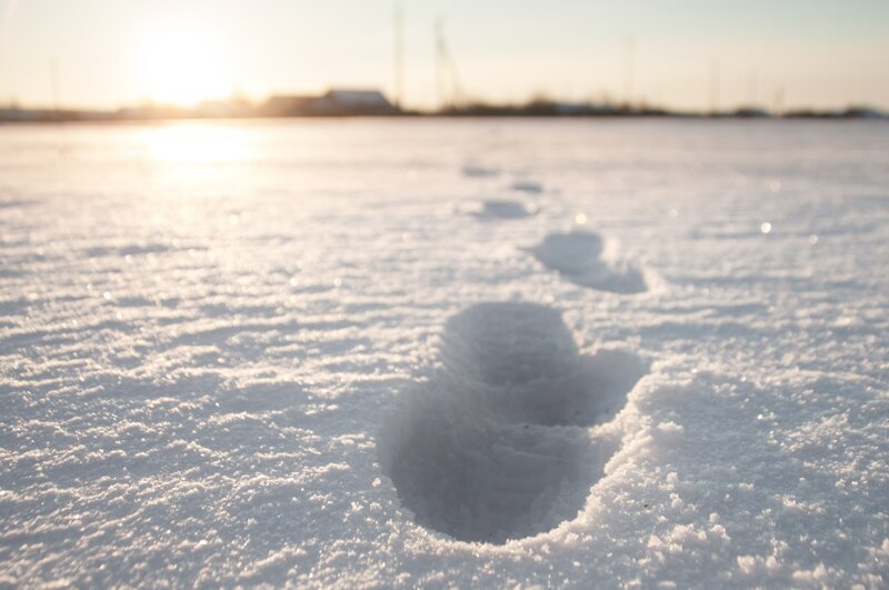 Почему на самом деле вымирает деревня? Мнение местного жителя 