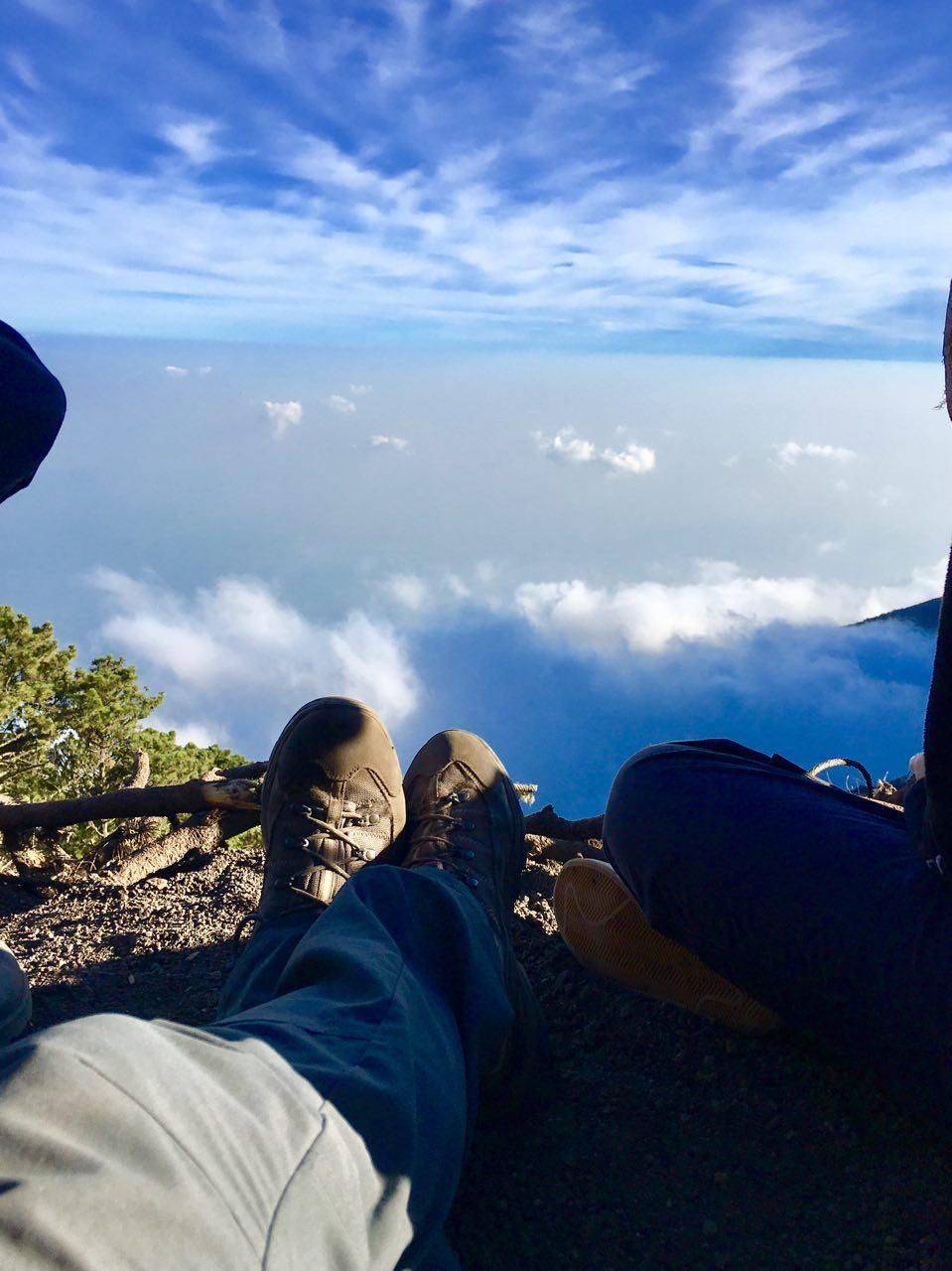 Забавные картинки для хорошего настроения Забавные картинки для хорошего настроения животные,жизнь,звери,земля,котики,коты,курьезы,мир,питомцы,планета,приколы,природа,смешное,собаки,факты,фауна,флора,щенки,юмор