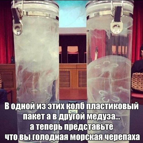 Прикольные картинки скрасят понедельник (40 шт)