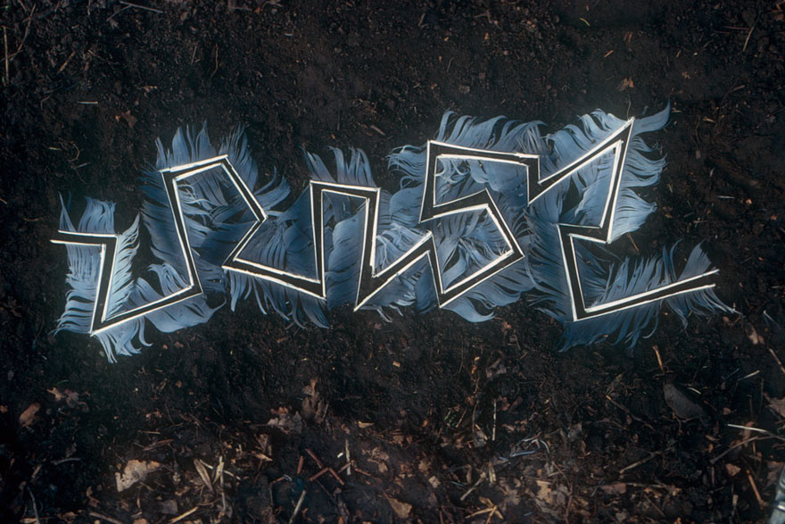 природное искусство Энди Голдсворти 