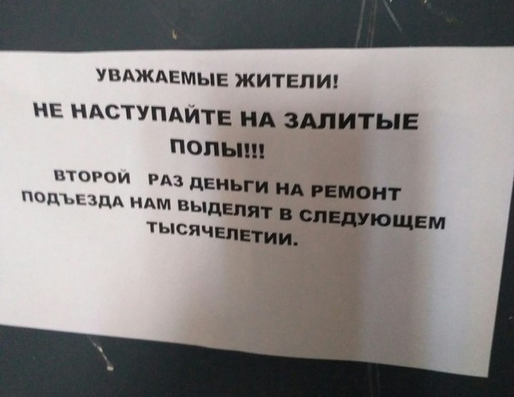 20+ человек, которые на своей шкуре прочувствовали, что такое ремонт ремонт, в квартире, только, стены, спокойно, ремонта, после, когда, После, будет, делал, конечно, продал, обоев, решили, с мужем, давно, такой, сделать, делать