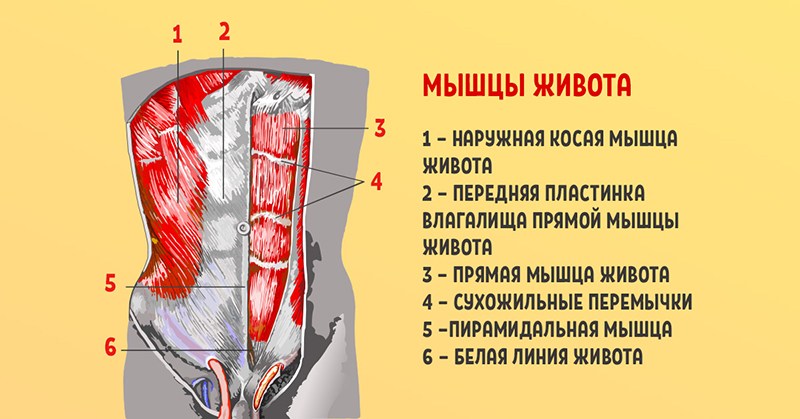 пилатес для начинающих в домашних условиях