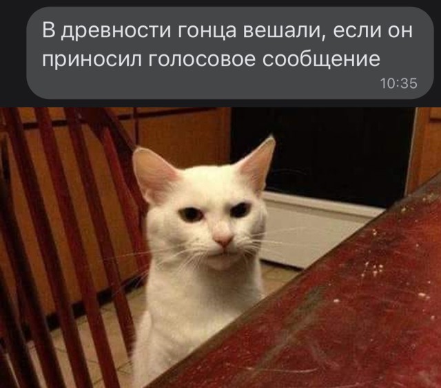 Подборка прикольных картинок  приколы,смешные картинки,юмор