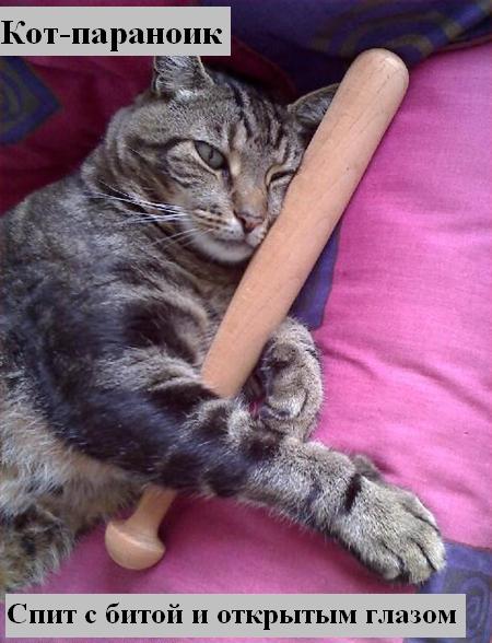 Мысли вслух :) Мысли вслух :)