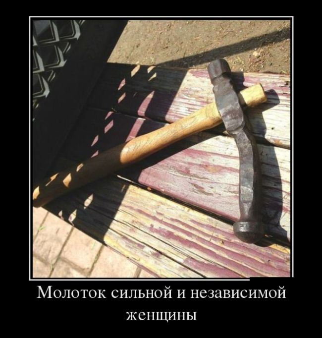 Прикольные демотиваторы для поднятия настроения (10 фото)