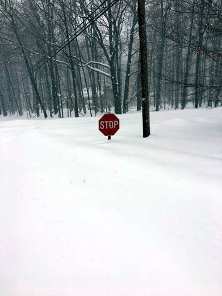 Неудачный день в картинках (18 фото)