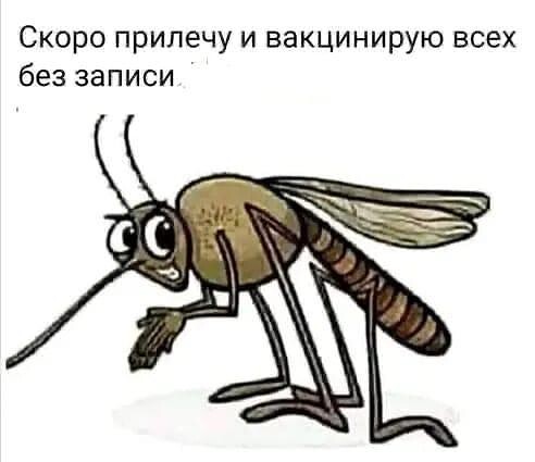 Сидит мужик в ресторане на вокзале, и не спеша пьет пиво... которые, сапоги, нравится, экспедиции, сидит, корабль, вашей, после, Самолёт, погонахВернулся, дневной, командировки, Верная, развитие, призналась, сексу, самолеты—, Может, арифметикой, чтото