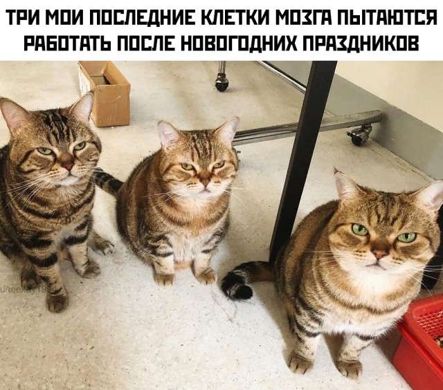 Подборка прикольных картинок  приколы,смешные картинки,юмор