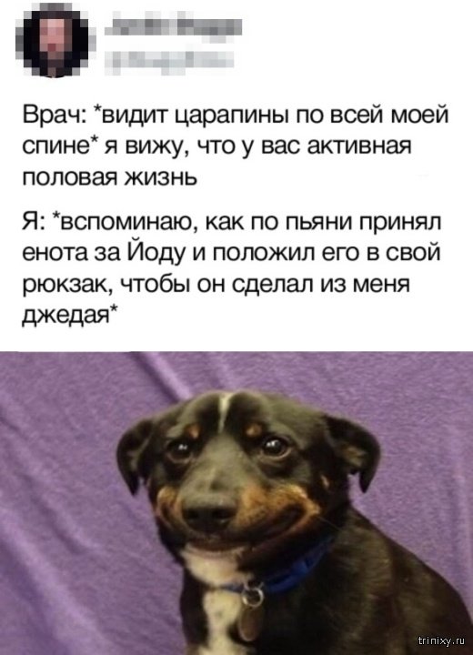 Подборка прикольных картинок  смешные картинки