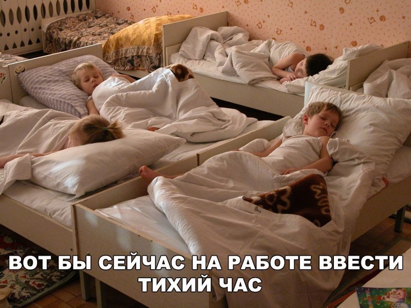 Смешные картинки с надписями прикол, юмор