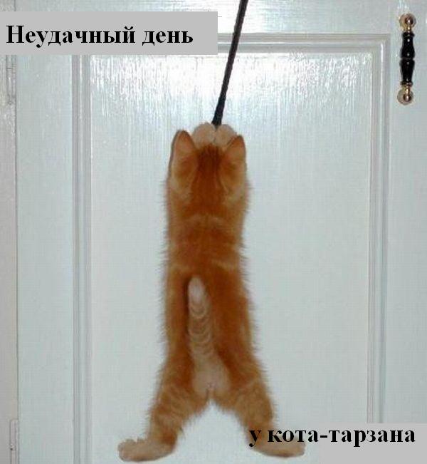 Мысли вслух :) Мысли вслух :)