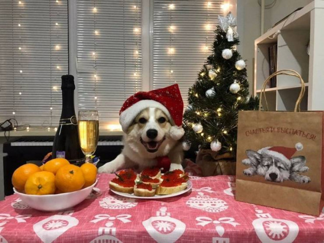 Прикольные картинки и фото 2022