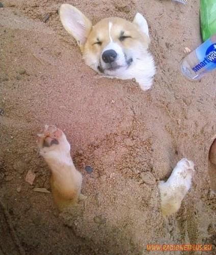 Давайте улыбаться вместе! :) Давайте улыбаться вместе! :)